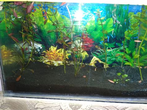 Fish World Nagpur .